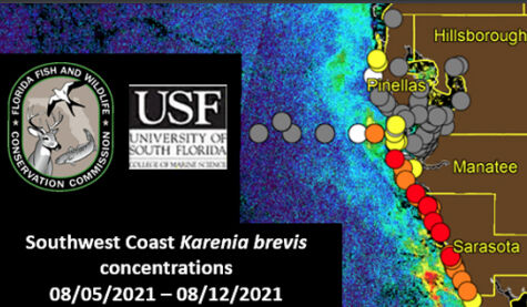 n-pc-red-tide-improved-081921=red-tide-map.jpg